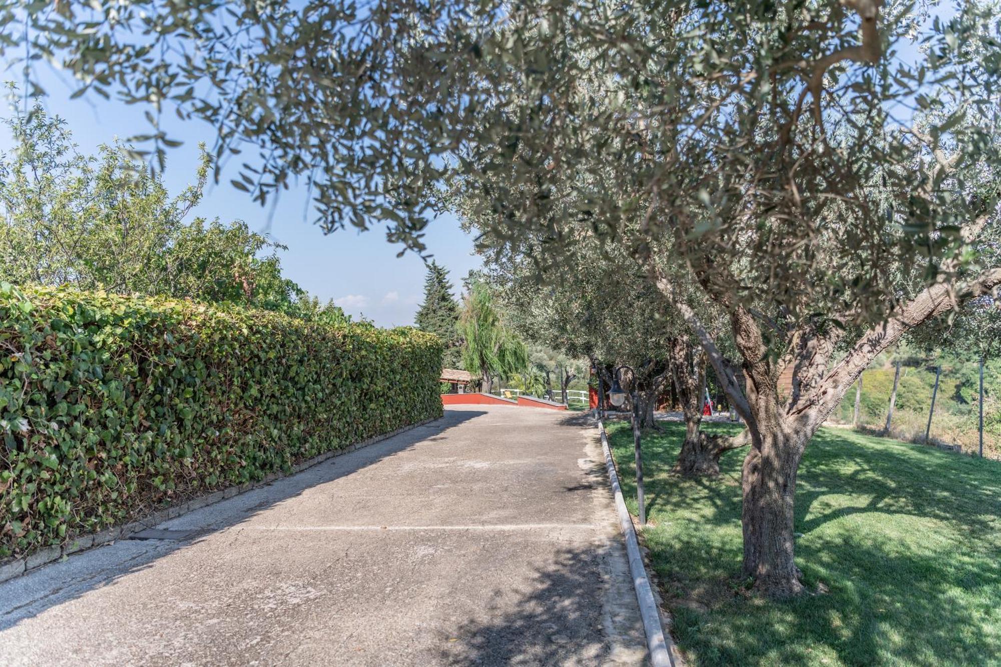 La Villetta Nel Parco La Giustiniana Eksteriør billede